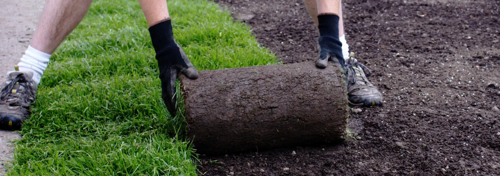 Rollrasen HAUN Landshut - Foto © Horticulture - Adobe Stock
