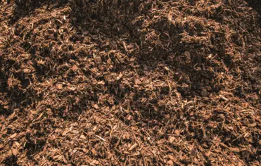 Haun Erdbau GmbH & Co KG - Kies, Humus, Schotter...