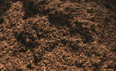 Humus, Sand, Kies u.v.m. bei HAUN Bodenbörse - Foto © Ulrich Pioch - www.peppUP.de