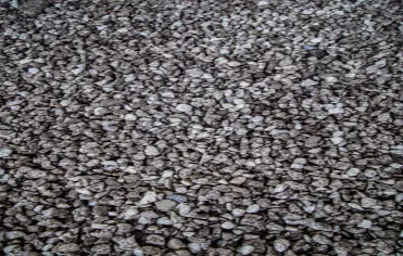 Haun Erdbau GmbH & Co KG - Kies, Humus, Schotter...