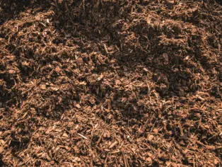 Humus, Sand, Kies u.v.m. bei HAUN Bodenbörse - Foto © Ulrich Pioch - www.peppUP.de