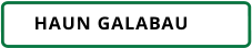 HAUN GALABAU